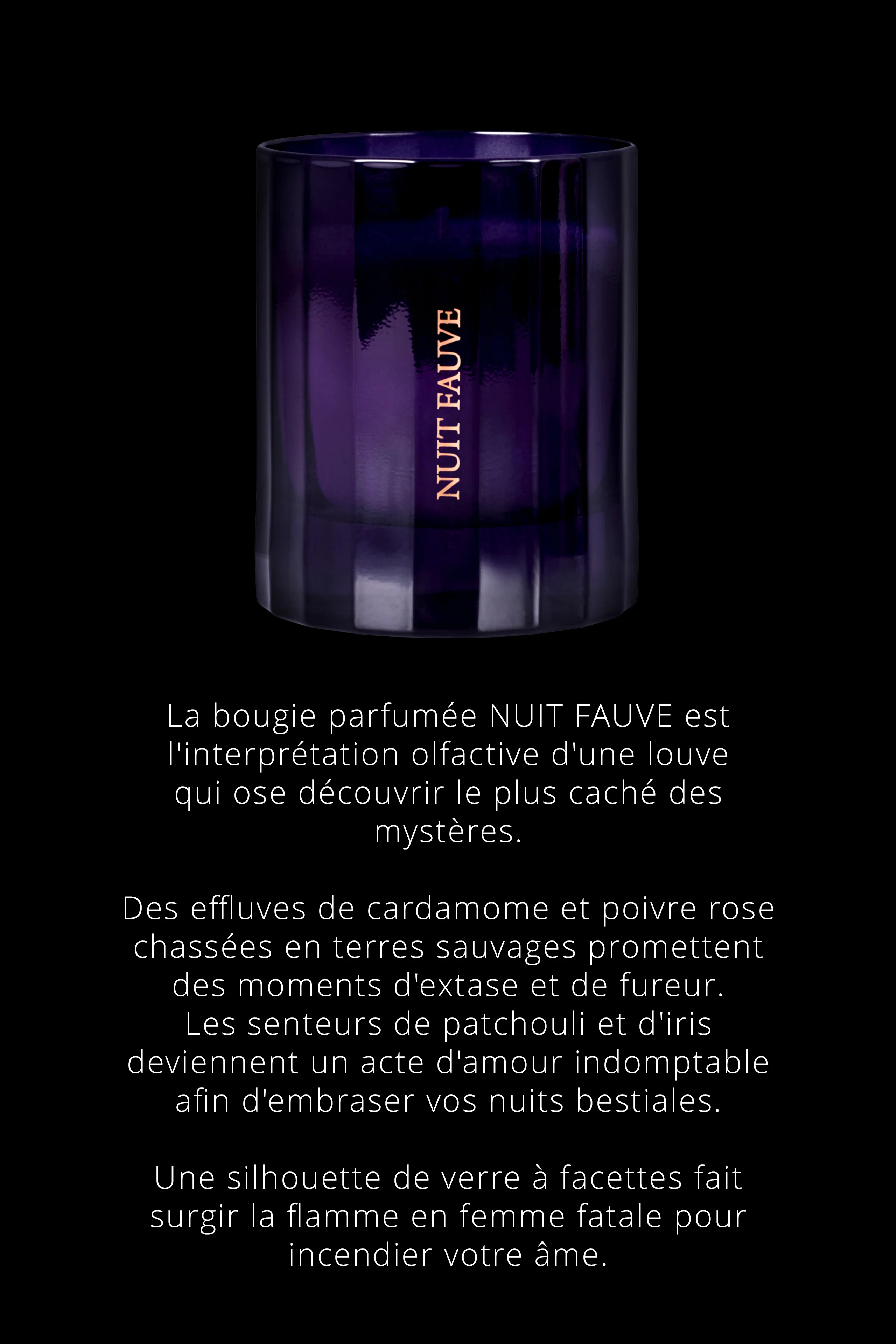 Duftkerze Chypre noten - Nuit Fauve - Image 4