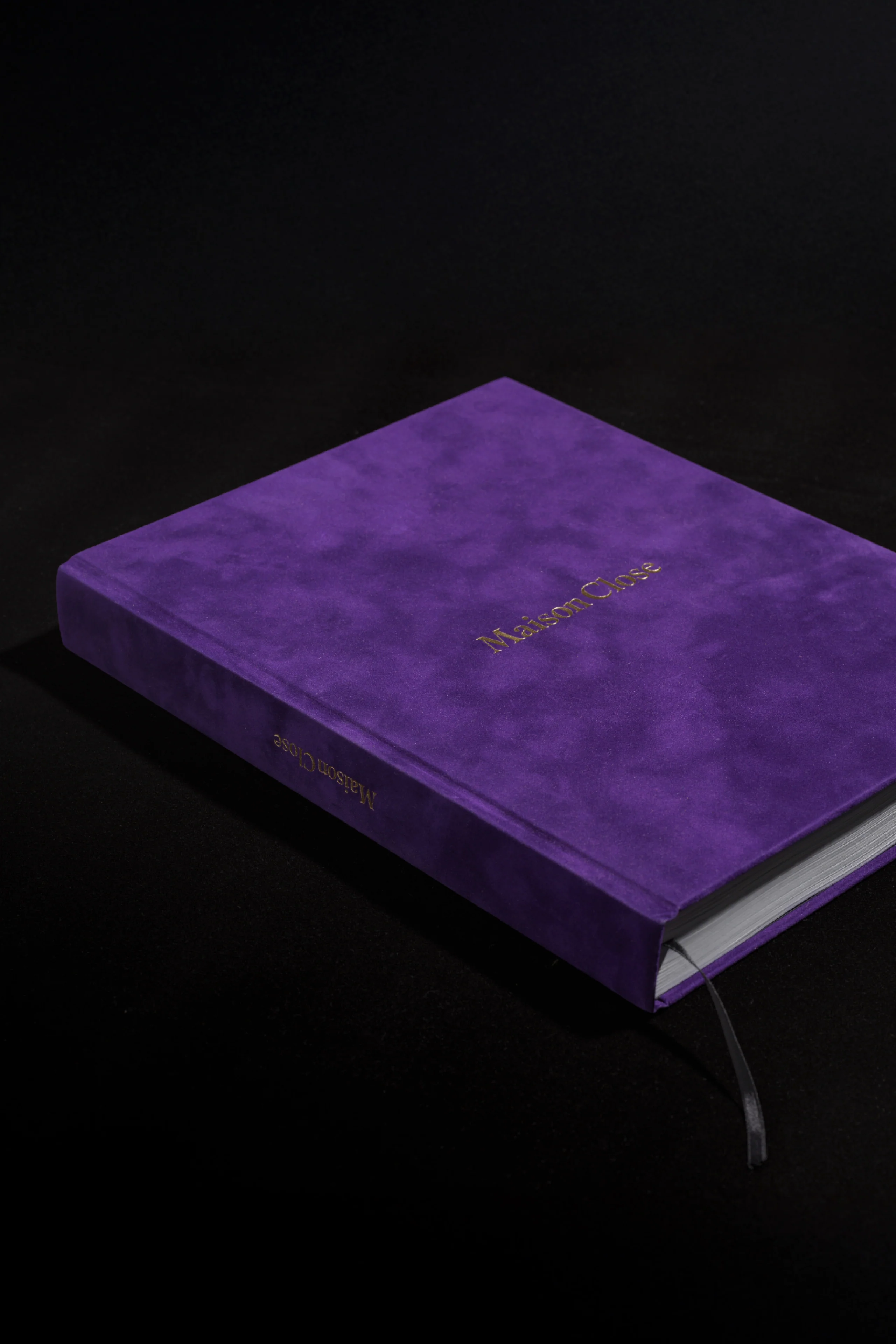 Kunstfotobuch - Curiosités Désirables © - Image 3